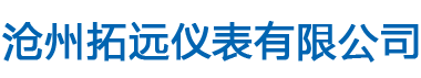 滄州拓遠(yuǎn)儀表有限公司